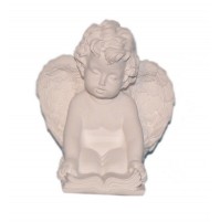 Kipec - angel - knjiga