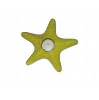 Morska zvezda 7 - svečnik