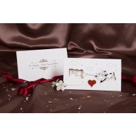 Vabilo  - mladoporočenca v letalu/smešno Vabilo  - mladoporočenca v letalu/smešno