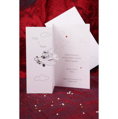 Vabilo - mladoporočenca v letalu Vabilo - mladoporočenca v letalu