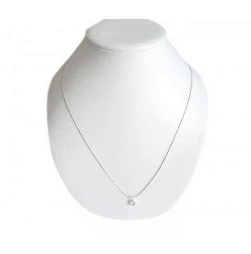 Verižica prosojna Verižica prosojna